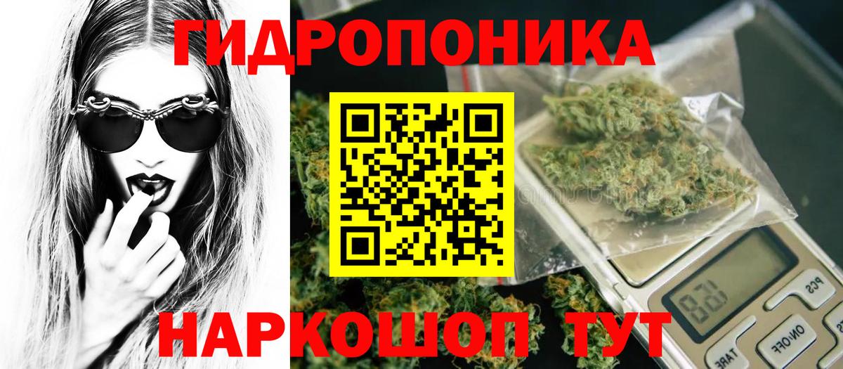 Бошки марихуана THC 21% Волхов